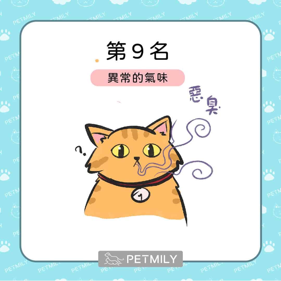 貓狗癌症的十大症狀