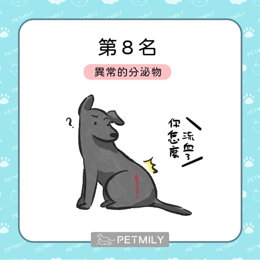 貓狗癌症的十大症狀
