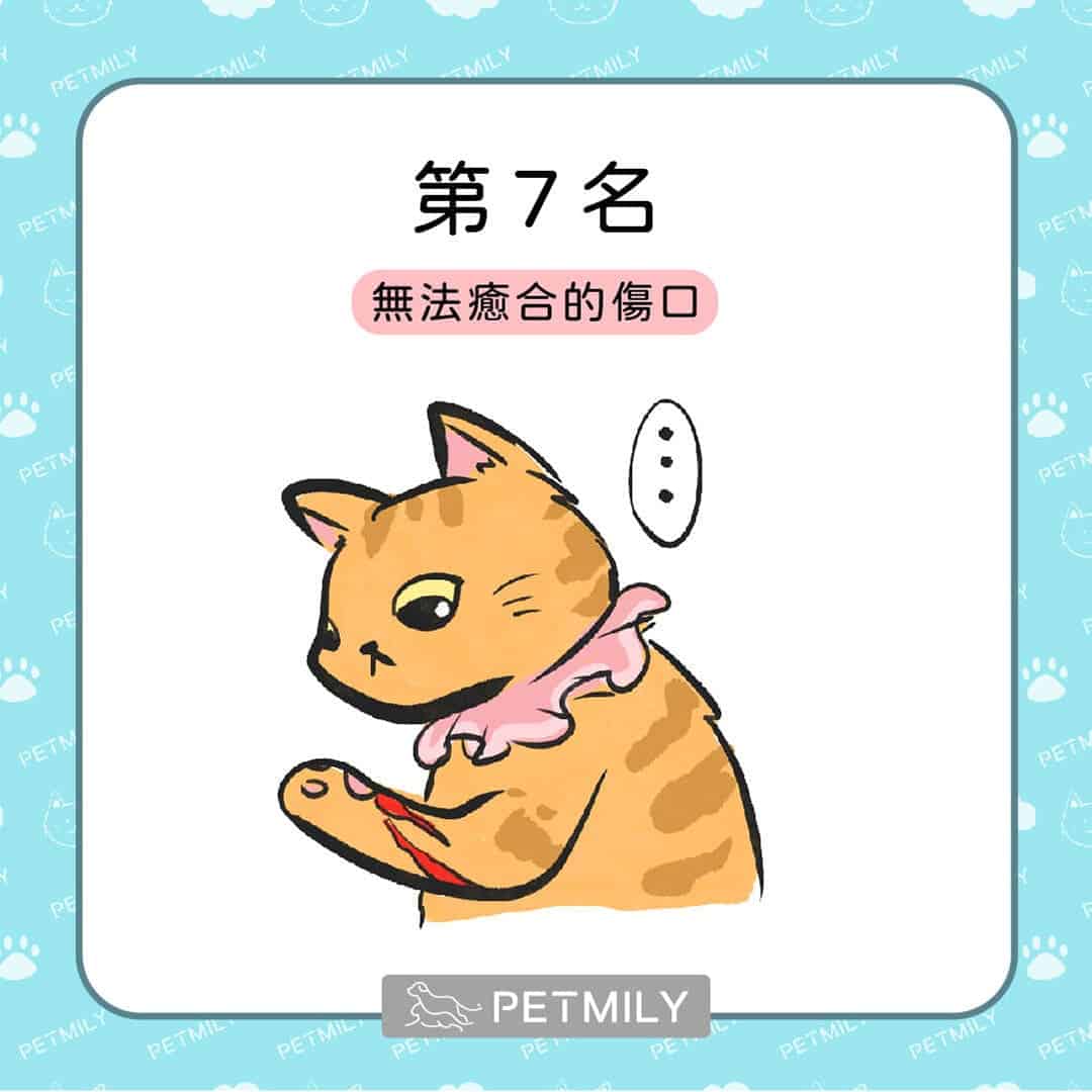 貓狗癌症的十大症狀