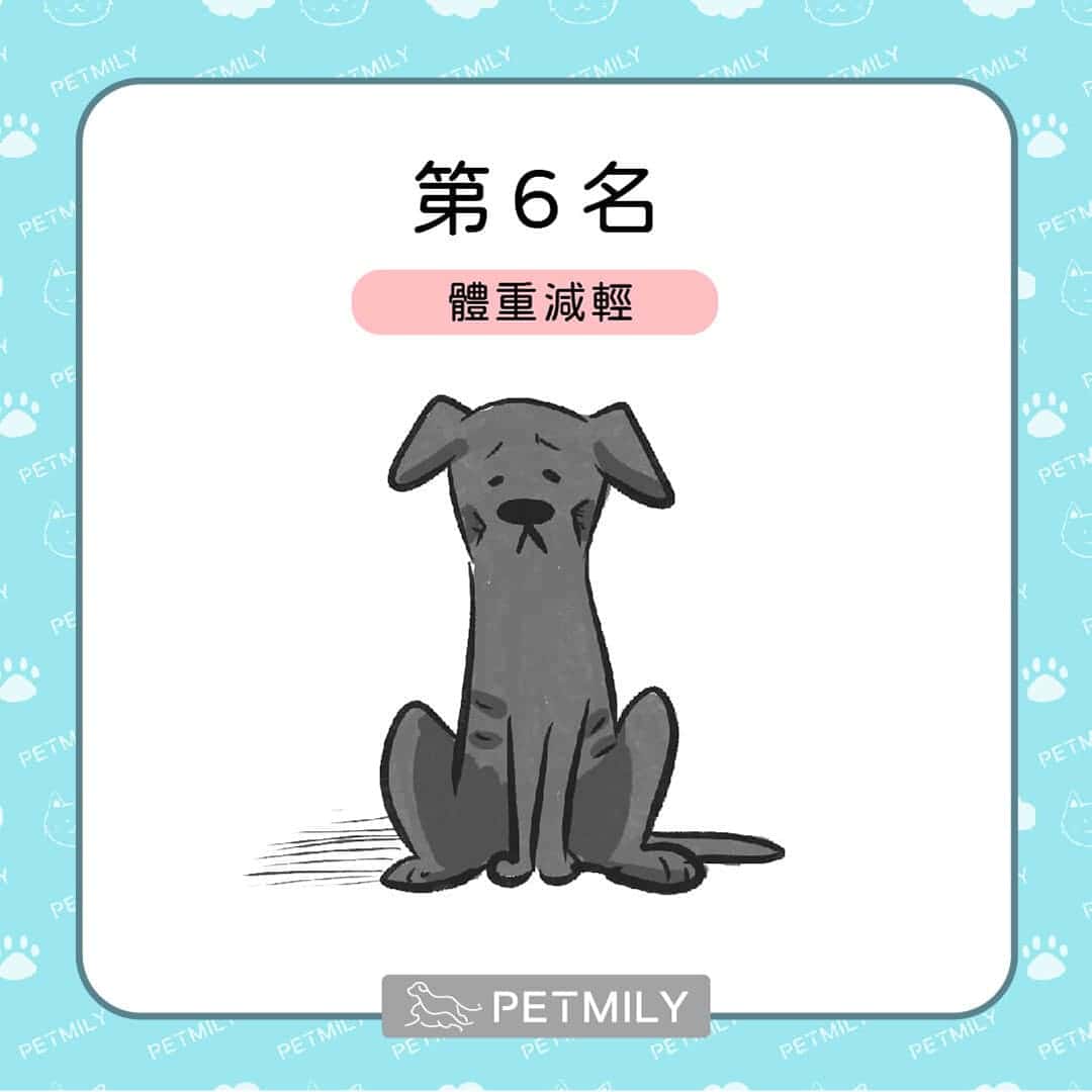 貓狗癌症的十大症狀