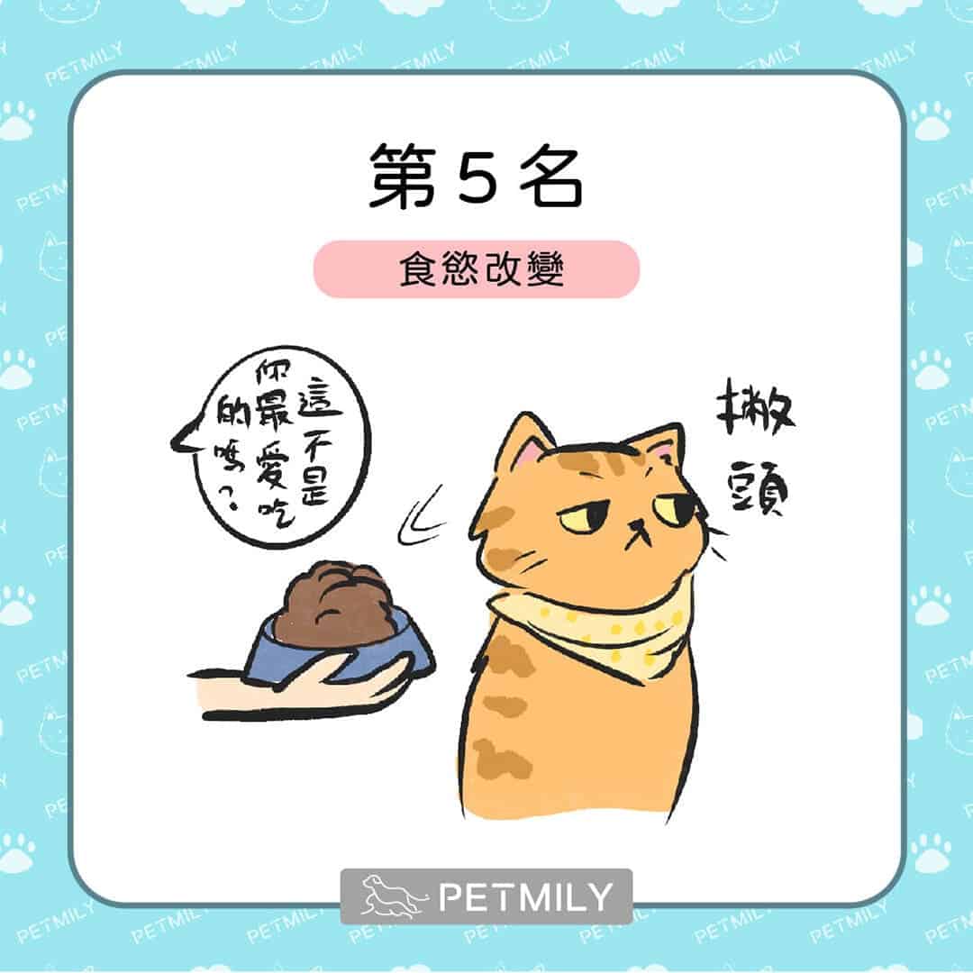 貓狗癌症的十大症狀