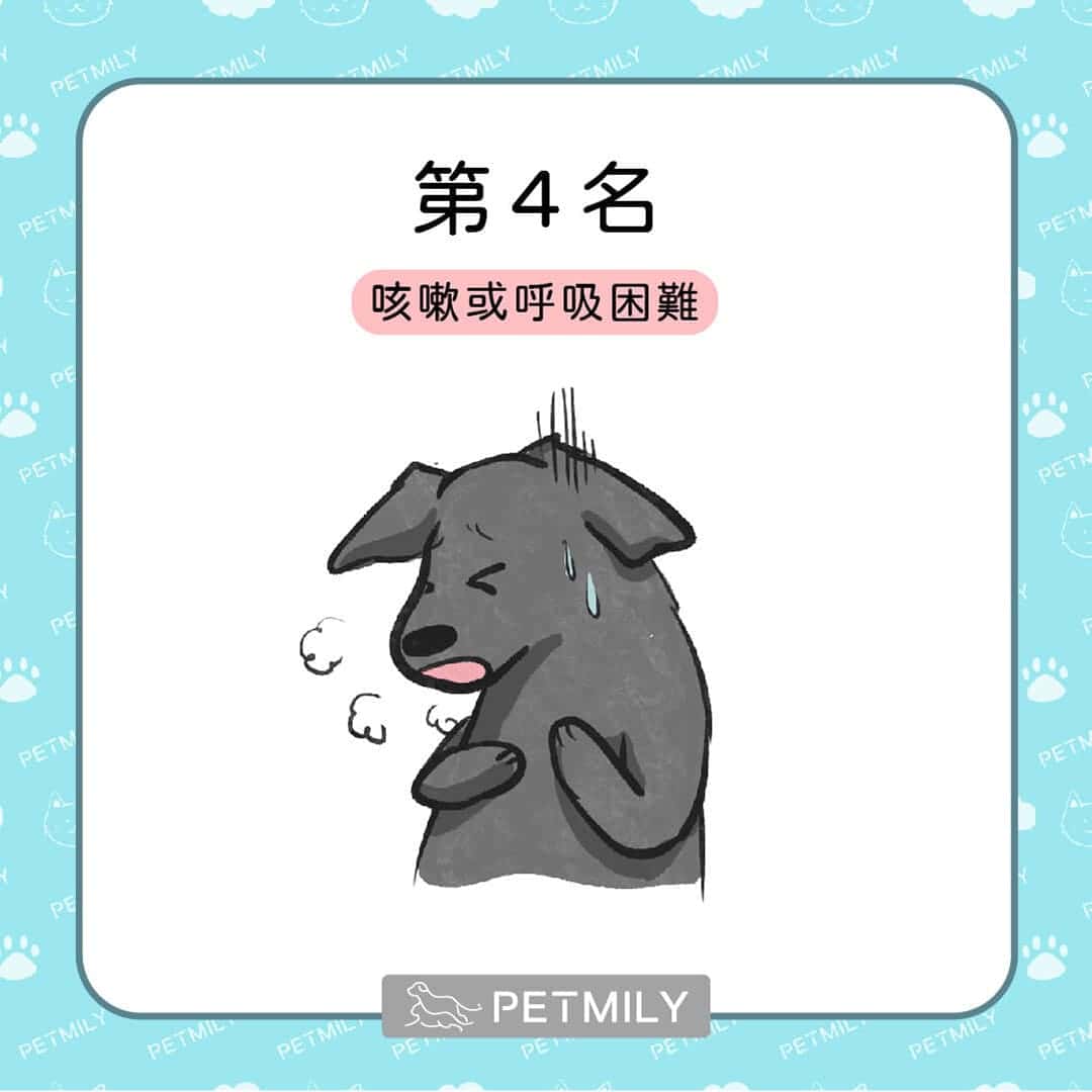 貓狗癌症的十大症狀