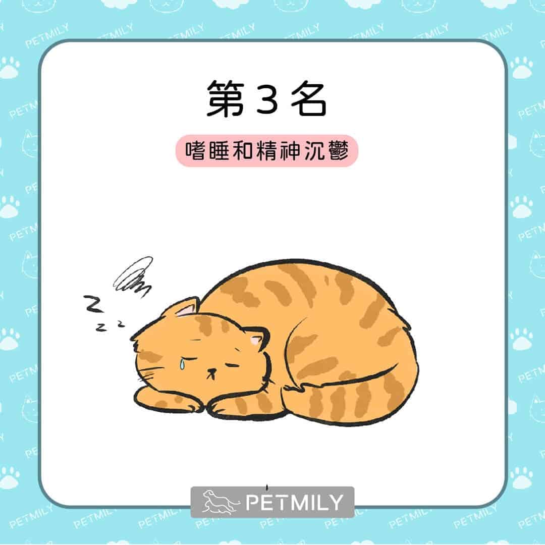 貓狗癌症的十大症狀