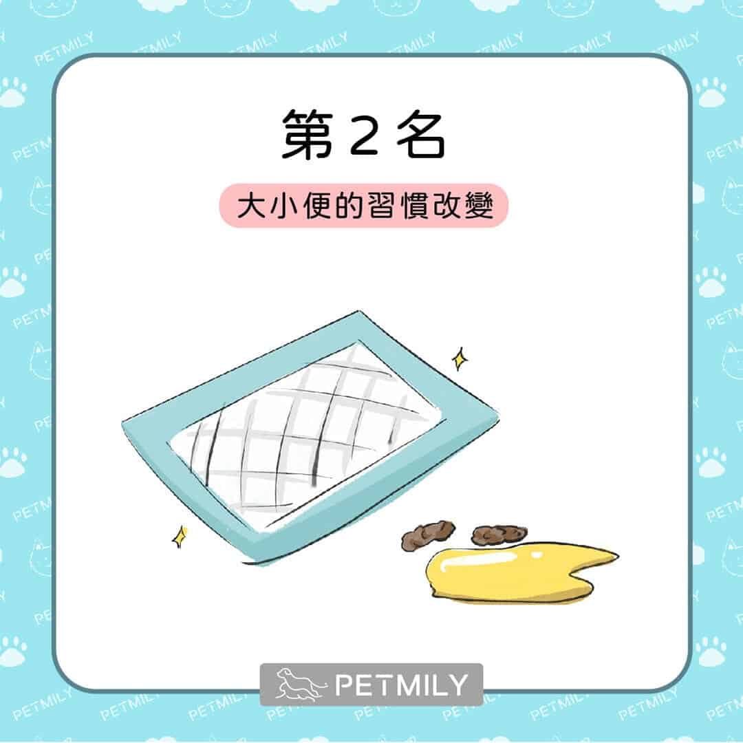 貓狗癌症的十大症狀