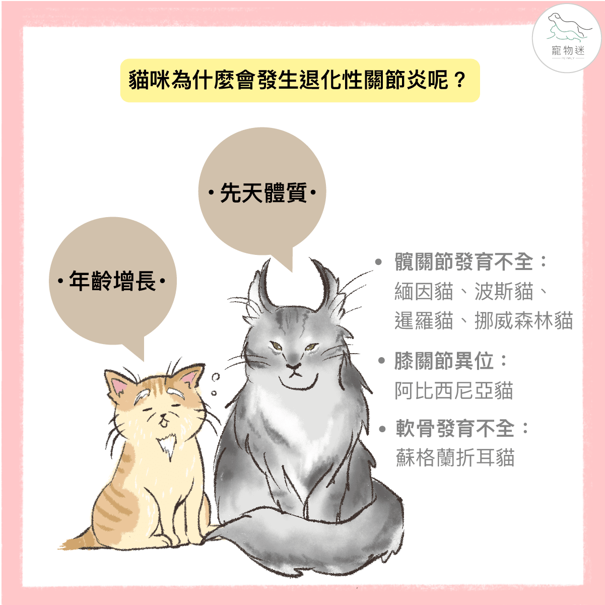 高齡貓咪退化性關節炎照護全攻略:4大症狀+3種保健方法一次看! 1 高齡貓咪退化性關節炎照護全攻略:4大症狀+3種保健方法一次看!