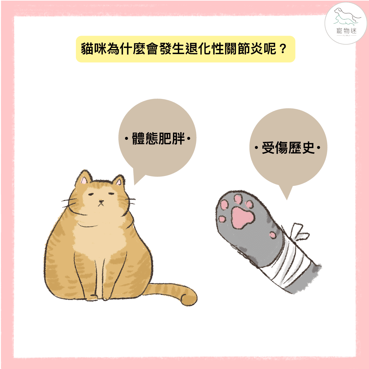 高齡貓咪退化性關節炎照護全攻略:4大症狀+3種保健方法一次看! 2 高齡貓咪退化性關節炎照護全攻略:4大症狀+3種保健方法一次看!