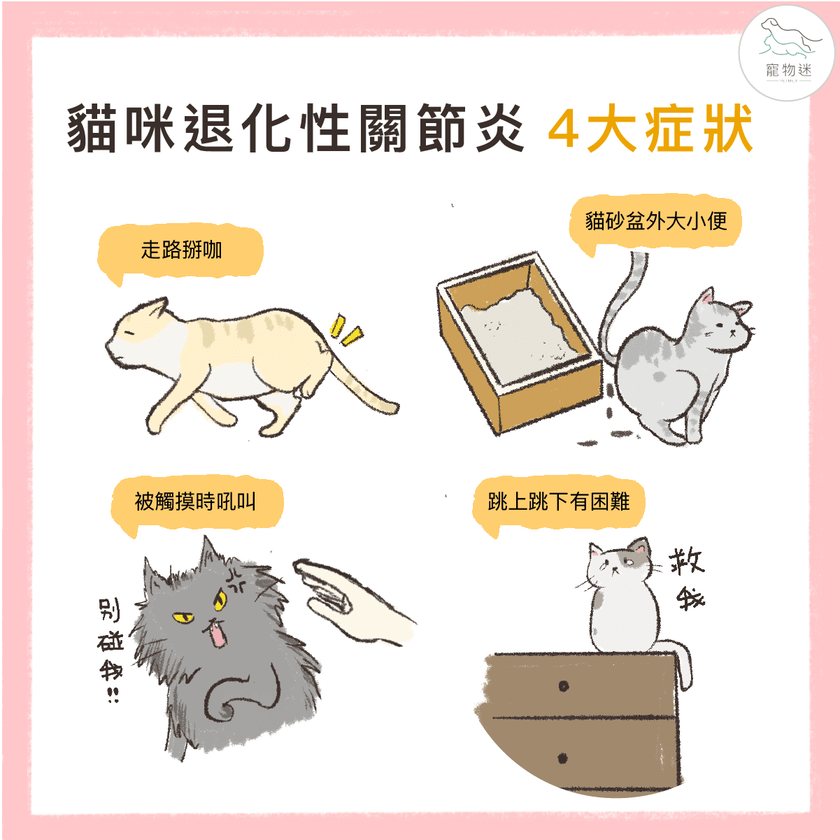 高齡貓咪退化性關節炎照護全攻略:4大症狀+3種保健方法一次看! 3 高齡貓咪退化性關節炎照護全攻略:4大症狀+3種保健方法一次看!