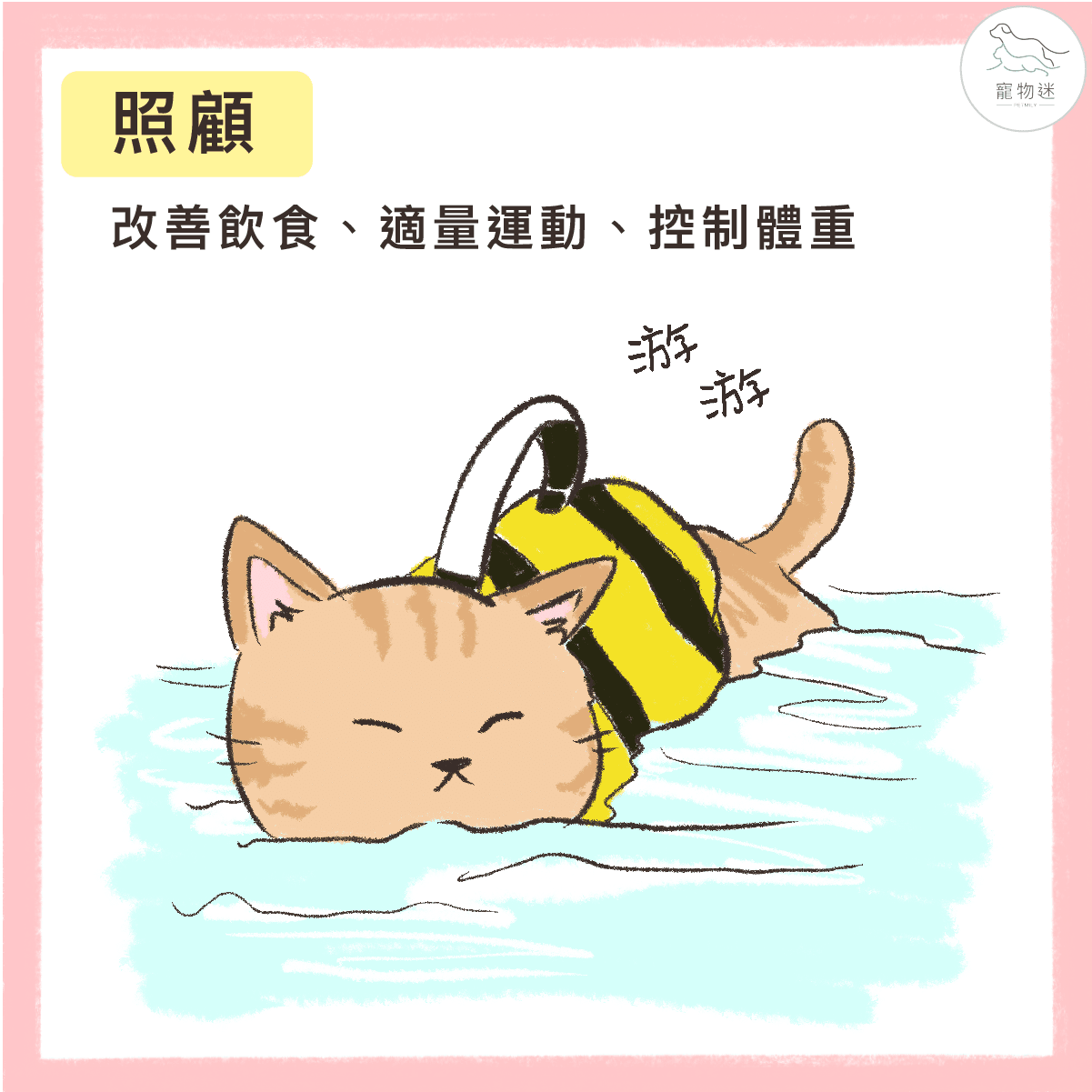 高齡貓咪退化性關節炎照護全攻略:4大症狀+3種保健方法一次看! 4 高齡貓咪退化性關節炎照護全攻略:4大症狀+3種保健方法一次看!