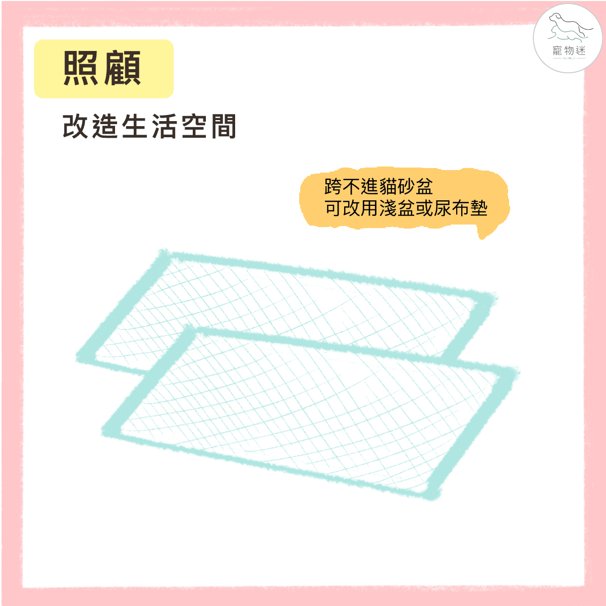 高齡貓咪退化性關節炎照護全攻略:4大症狀+3種保健方法一次看! 5 高齡貓咪退化性關節炎照護全攻略:4大症狀+3種保健方法一次看!