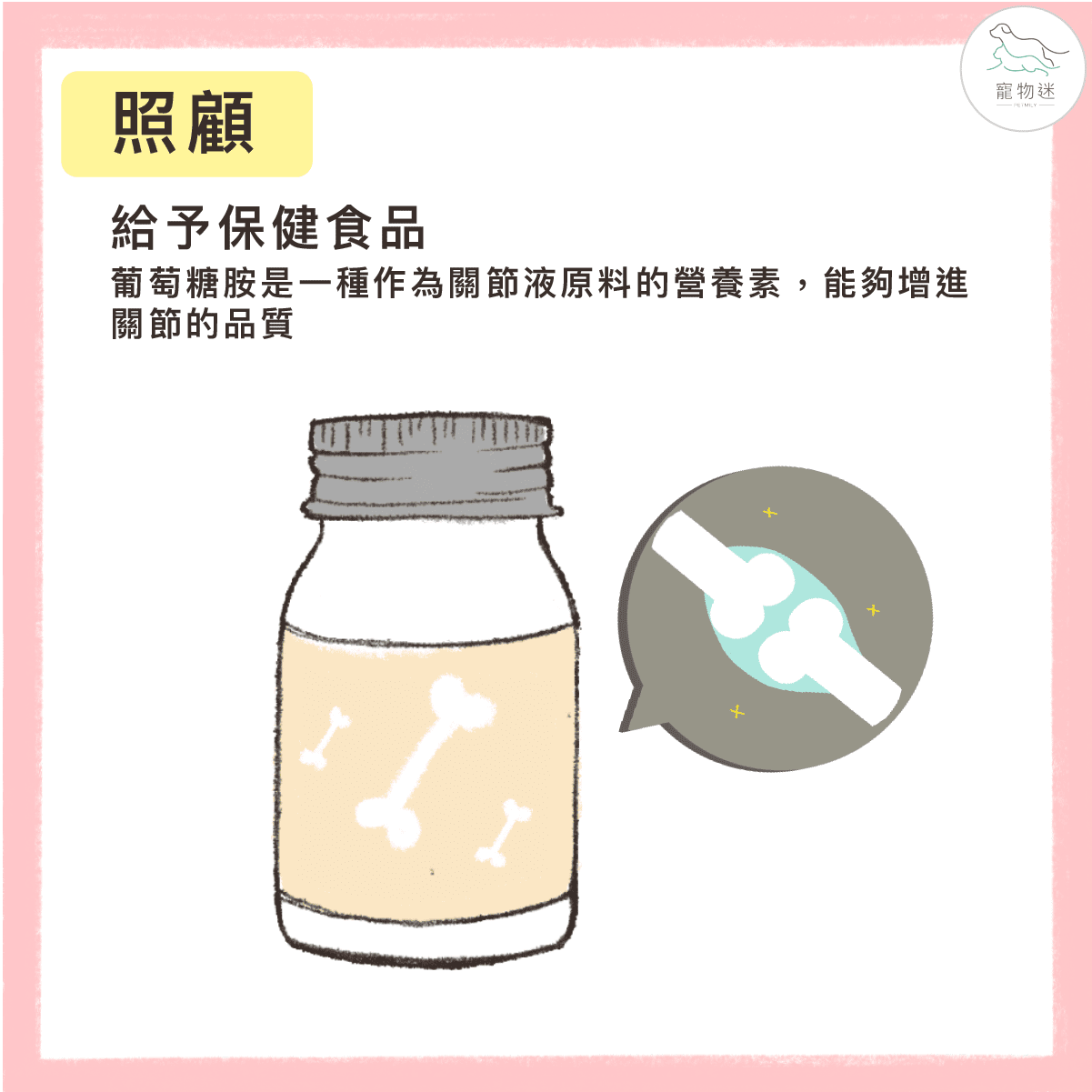 高齡貓咪退化性關節炎照護全攻略:4大症狀+3種保健方法一次看! 6 高齡貓咪退化性關節炎照護全攻略:4大症狀+3種保健方法一次看!