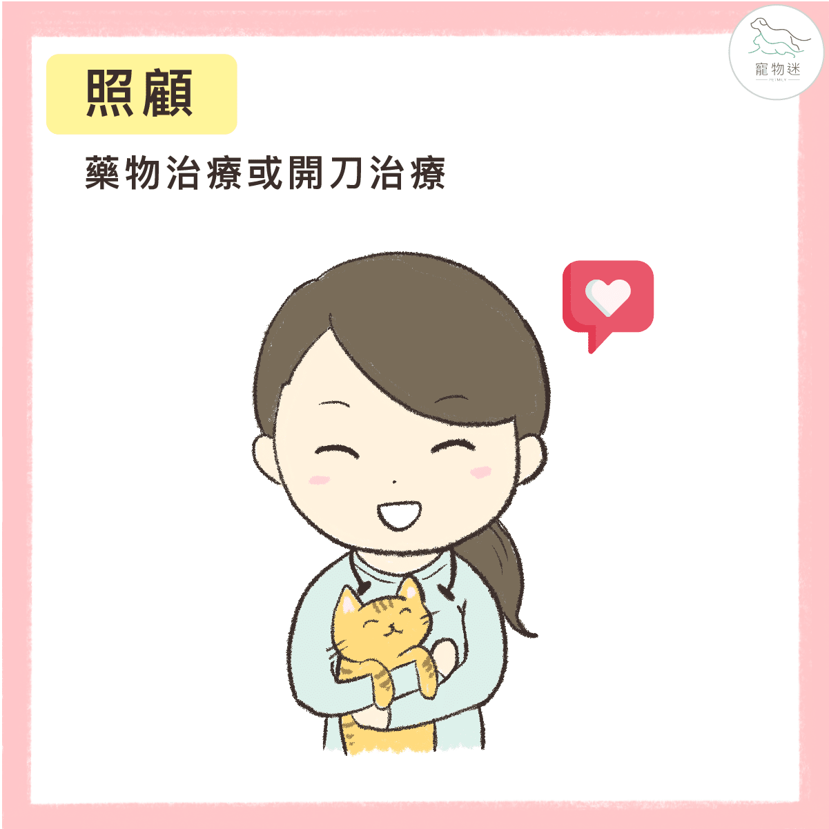 高齡貓咪退化性關節炎照護全攻略:4大症狀+3種保健方法一次看! 7 高齡貓咪退化性關節炎照護全攻略:4大症狀+3種保健方法一次看!