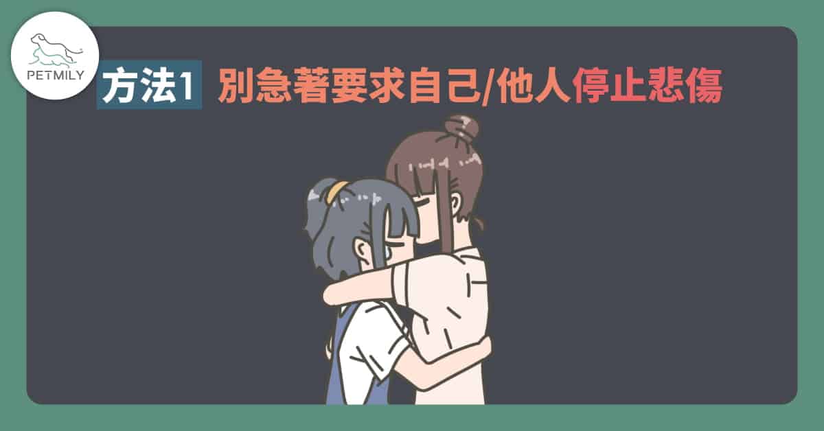 如何好好跟毛孩說再見？用4種方法陪你／妳度過失去牠們的靈魂暗夜
