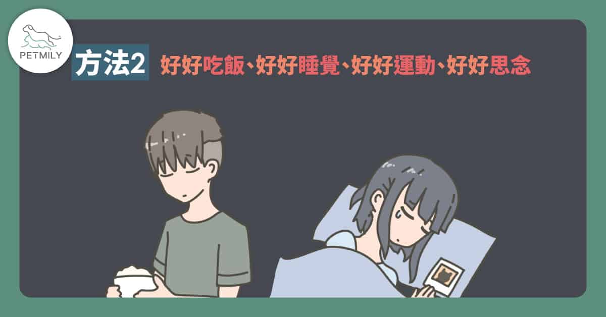 如何好好跟毛孩說再見？用4種方法陪你／妳度過失去牠們的靈魂暗夜