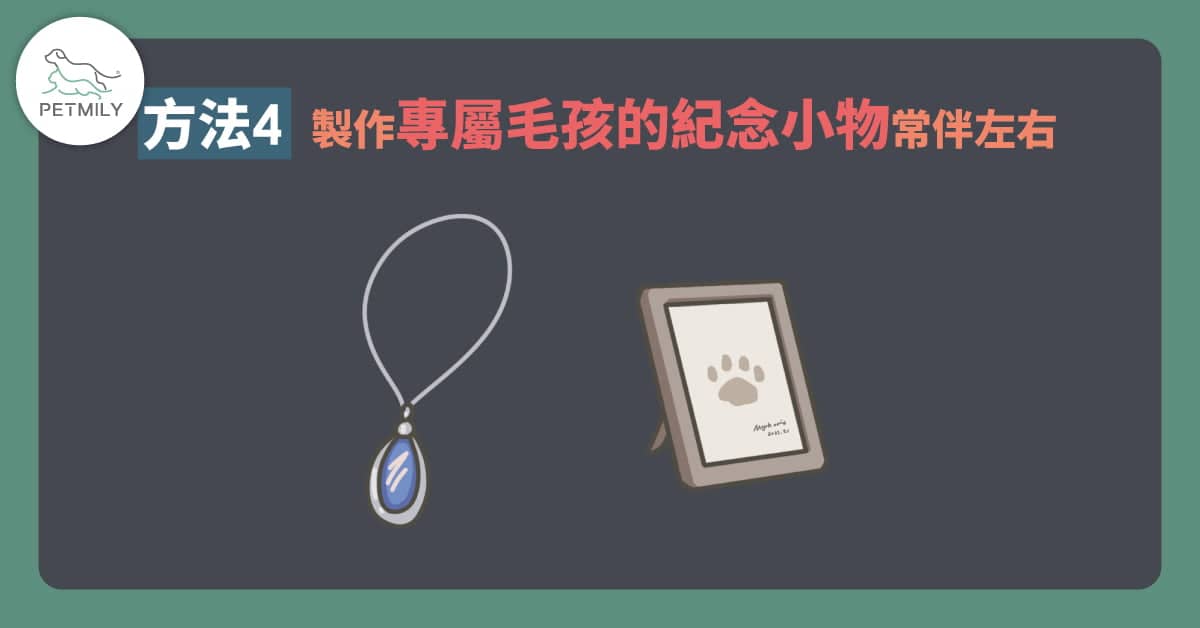 如何好好跟毛孩說再見？用4種方法陪你／妳度過失去牠們的靈魂暗夜