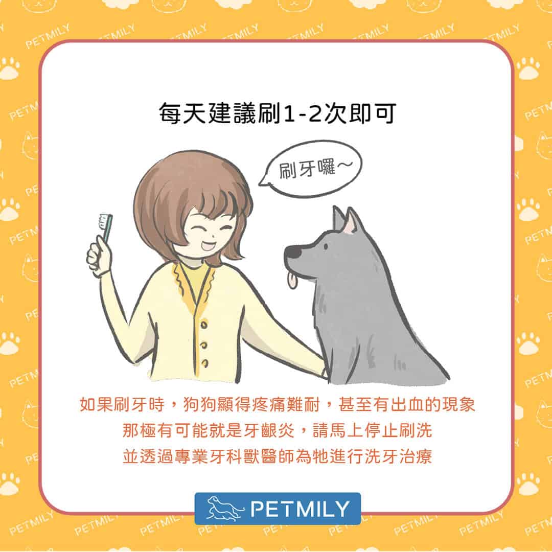 這三招 教你幫狗狗刷牙