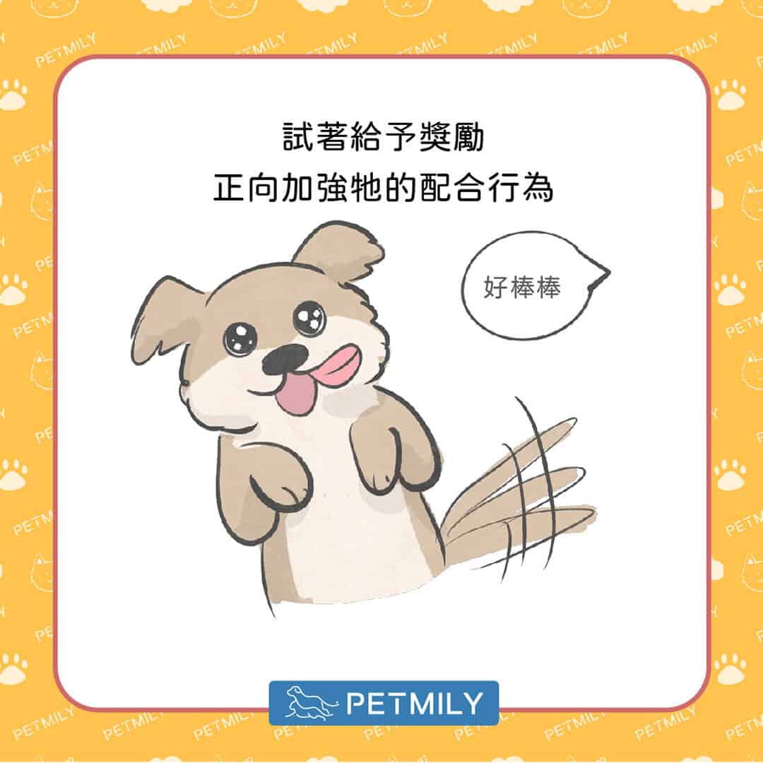 這三招 教你幫狗狗刷牙