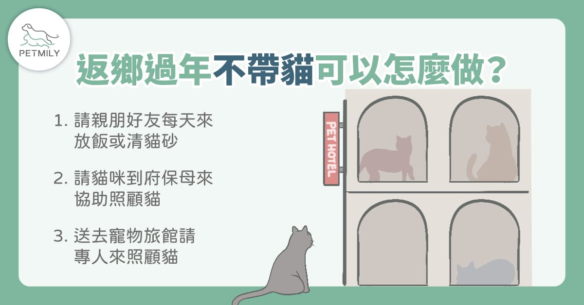 過年返鄉適合讓貓獨自在家嗎？3大危機看過來！