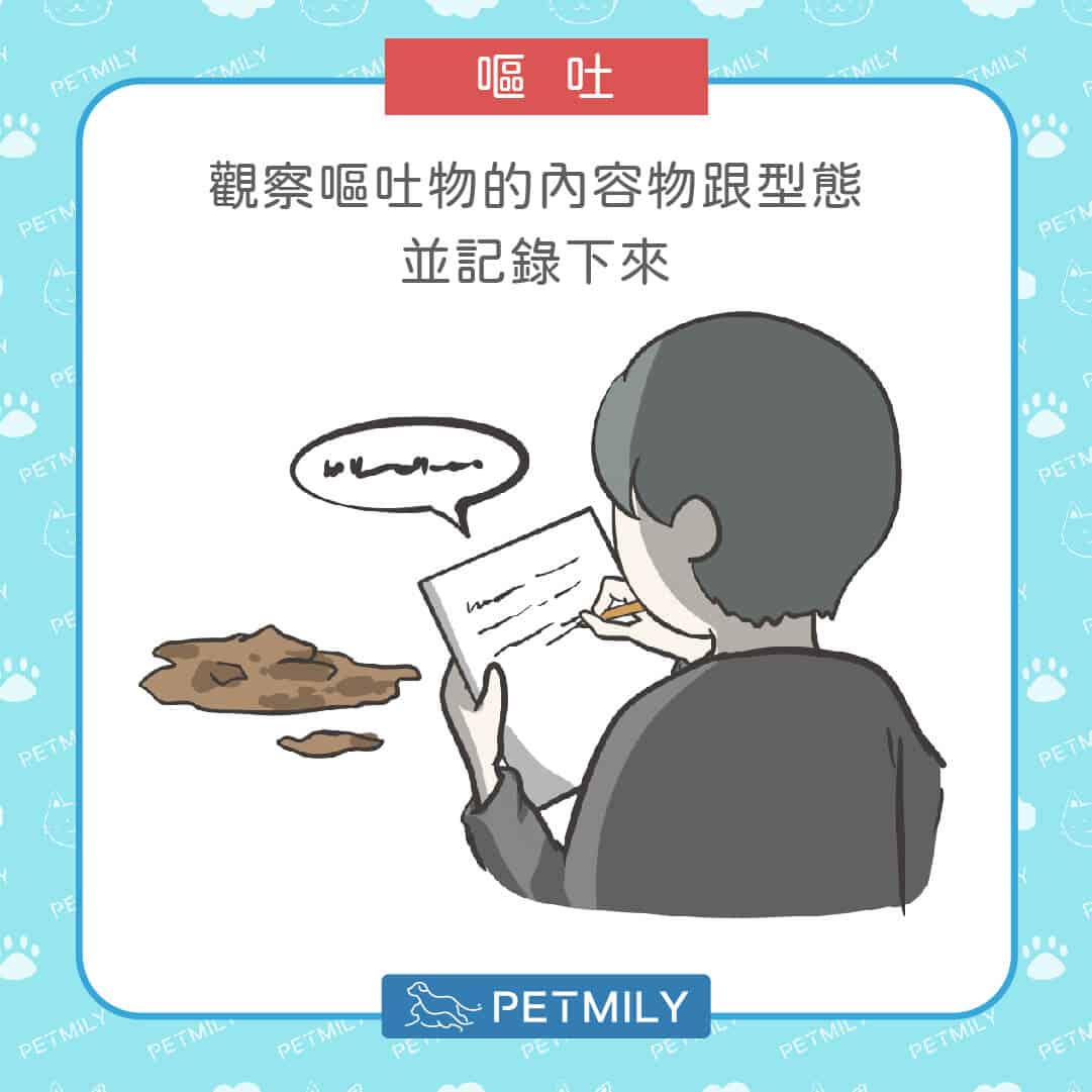 狗狗貓咪拉肚子又嘔吐？掌握5步驟穩定毛孩腸胃狀況！