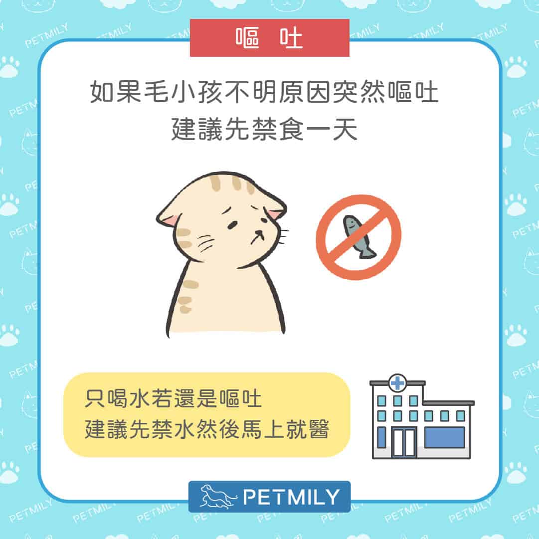 狗狗貓咪拉肚子又嘔吐？掌握5步驟穩定毛孩腸胃狀況！