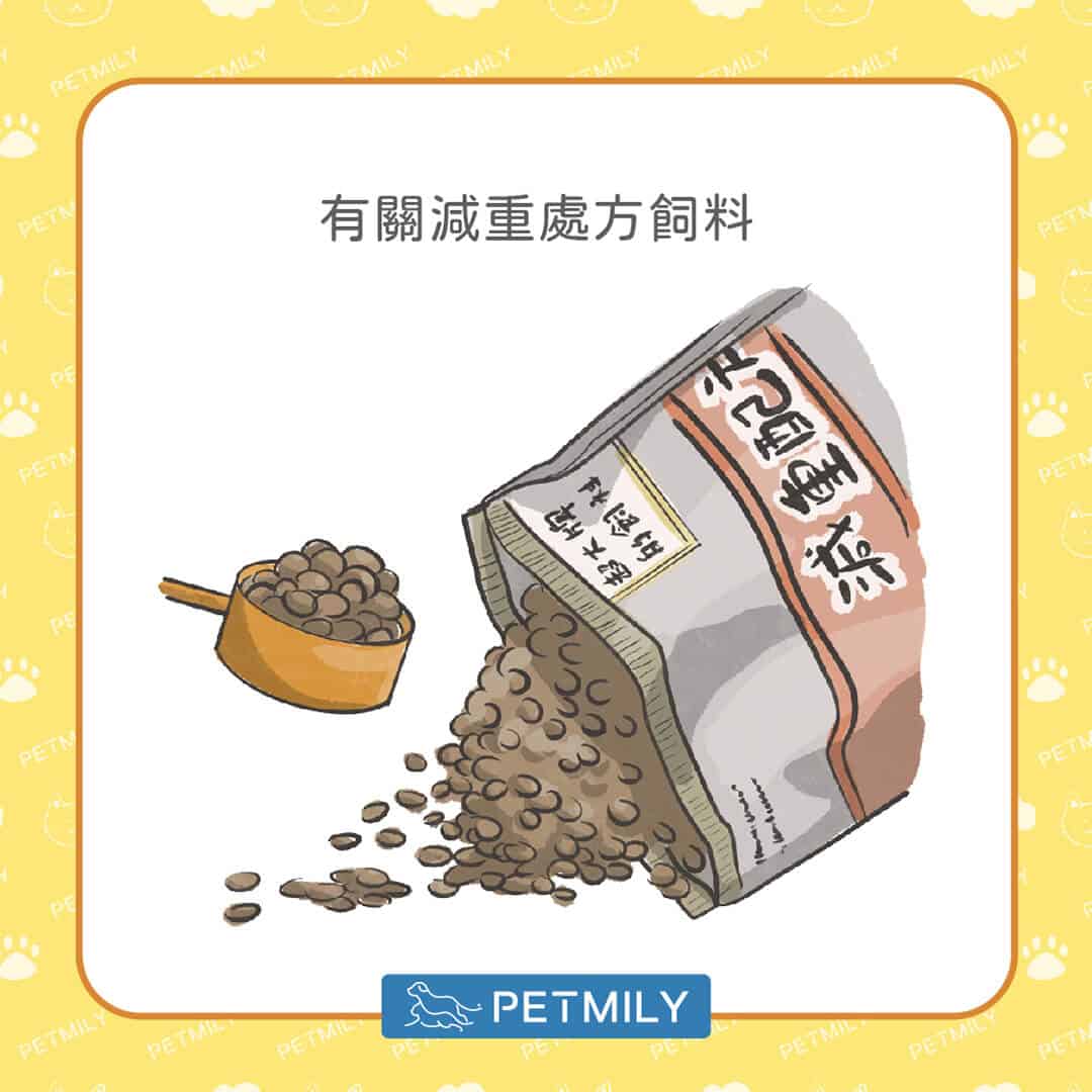 毛孩減肥餐怎麼吃？掌握「6大飲食管理要點」，健康瘦身不失衡！