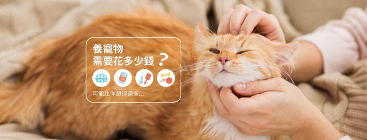寵物比小孩省錢？其實貓狗一生至少5大開銷，飼主不可不知！