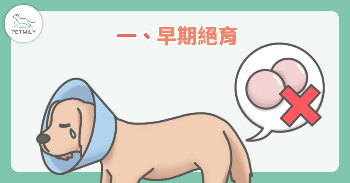<img src="dog .jpg" alt="狗結紮">