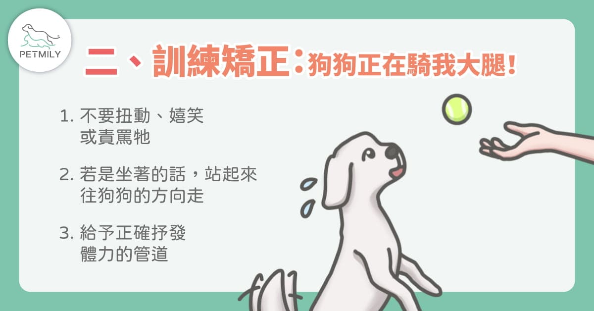 <img src="dog .jpg" alt="三種矯正狗騎乘行為的訓練方法">